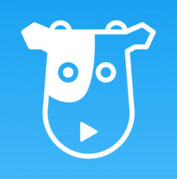 奶牛视频app