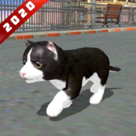 猫模拟器2020最新版