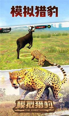 模拟猎豹生存截图1