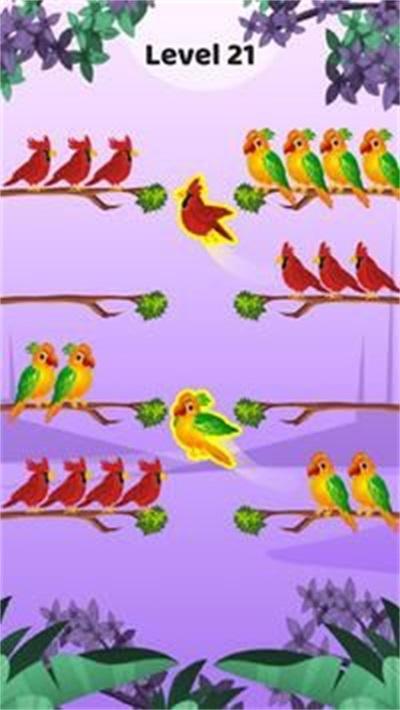 鸟排序益智截图2