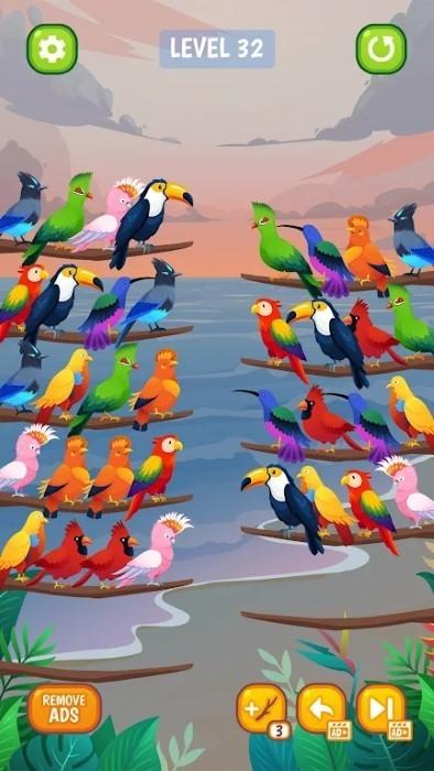 鸟类分类颜色拼图截图3