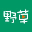 野草阁视频app