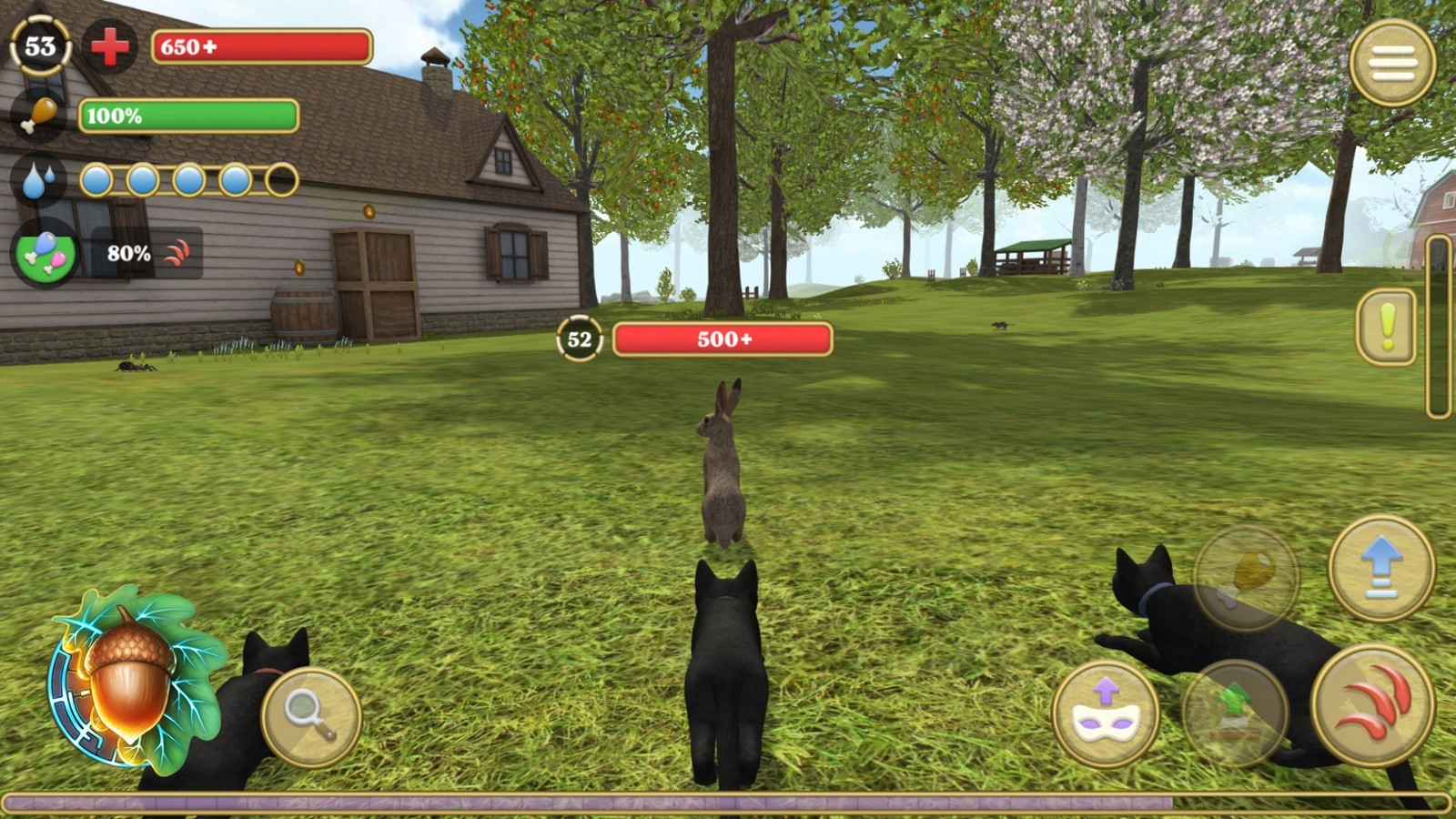 模拟猫咪农场动物截图4
