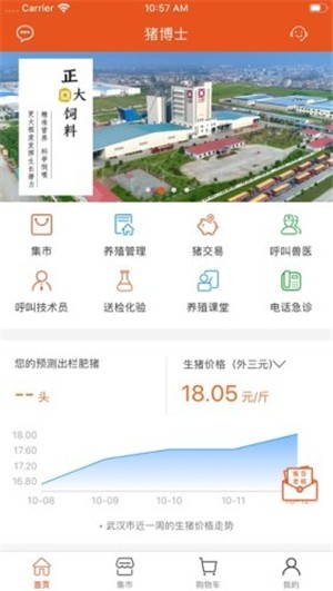 猪博士截图1