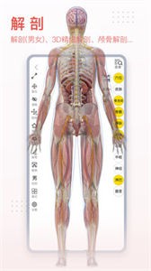 3Dbody解剖截图1