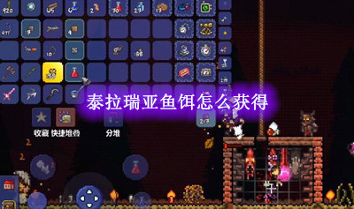 泰拉瑞亚鱼饵怎么获得