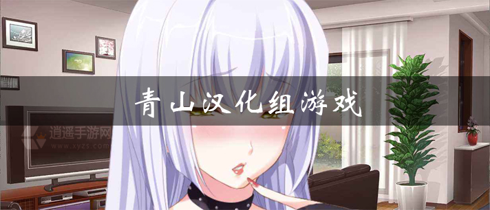 青山汉化组游戏