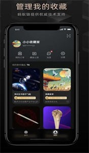 CERKA奇咖藏品app