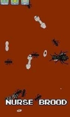 蚂蚁家族模拟器截图3