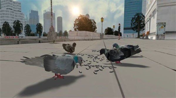 鸽子生存模拟器最新版截图2
