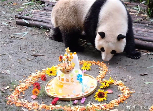 真·顶流大瓜！千万粉丝送礼物祝花花诞辰快活，翻开一看全是苹果