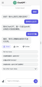 ChatGPT安卓中文版截图3