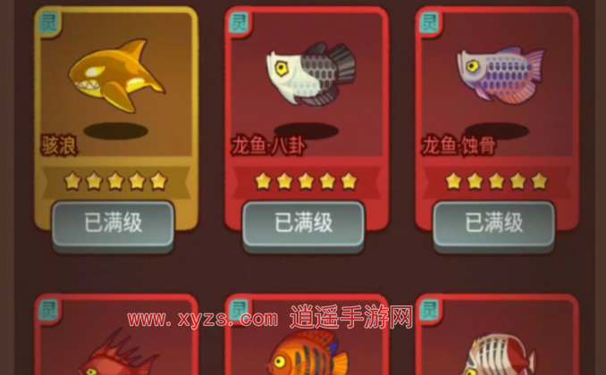 咸鱼之王金鱼白嫖攻略2024