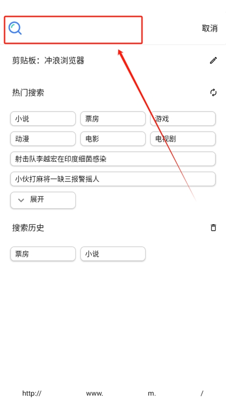 冲浪浏览器
