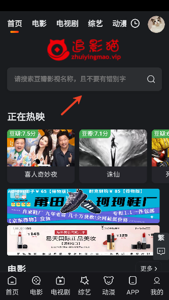 追影猫