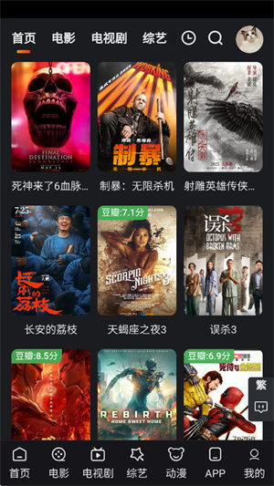 追影猫