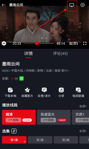 网飞猫