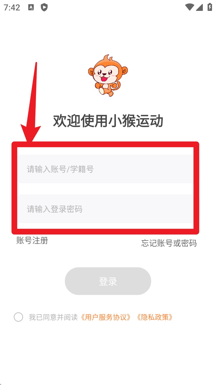 小猴运动
